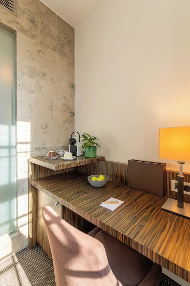 雷根斯堡公爵大教堂 ACHAT 酒店-舒適雙人或雙床房-5