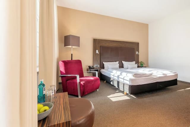 雷根斯堡公爵大教堂 ACHAT 酒店-舒適雙人或雙床房-6