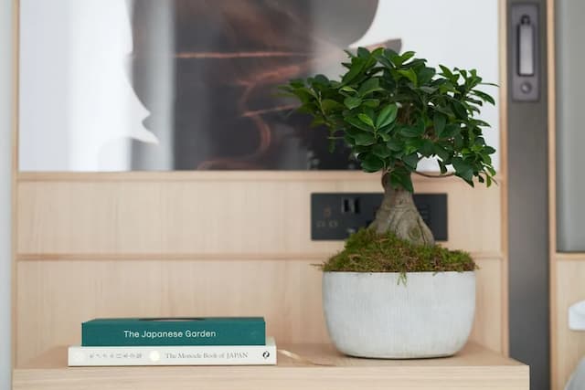 Nobu London Portman Square-Cosy Double Room-1