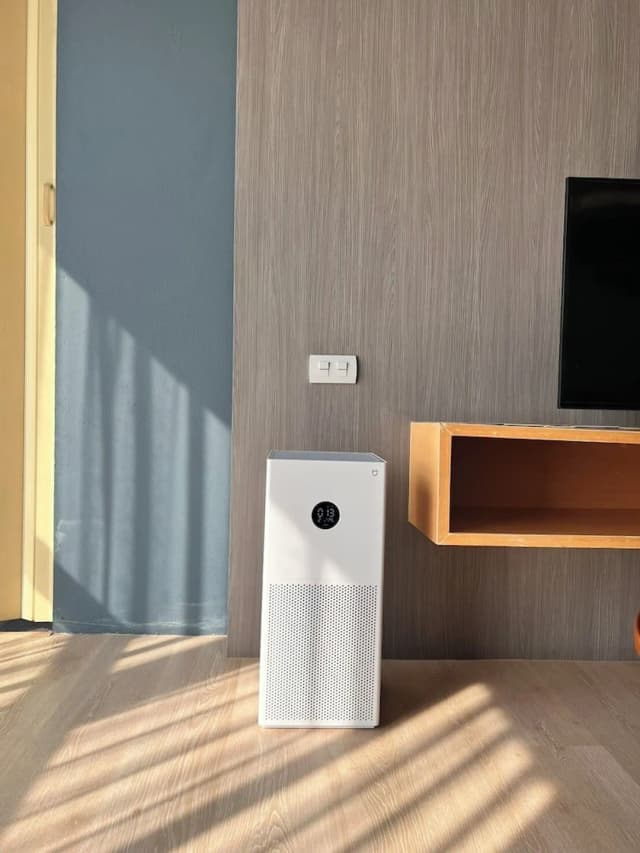 르 나뷰 @프라싱-주니어 스튜디오-6