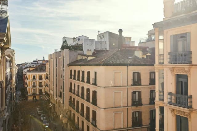 더 팰리스, 어 럭셔리 컬렉션 호텔, 마드리드-룸, 킹사이즈침대 1개-7