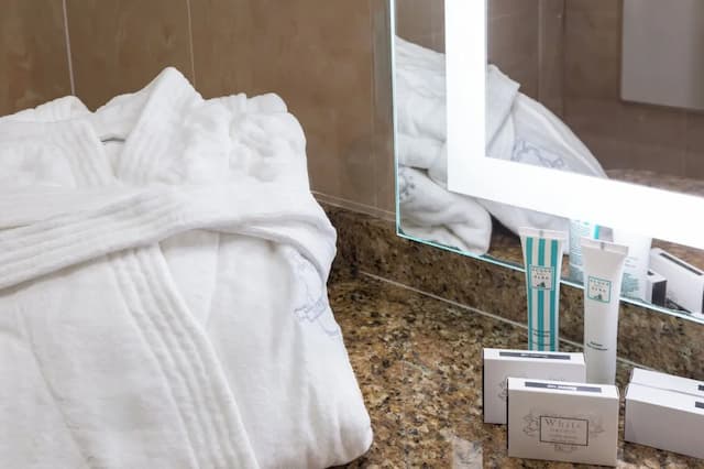 ホテル エンバシー-デラックス トリプルルーム-5