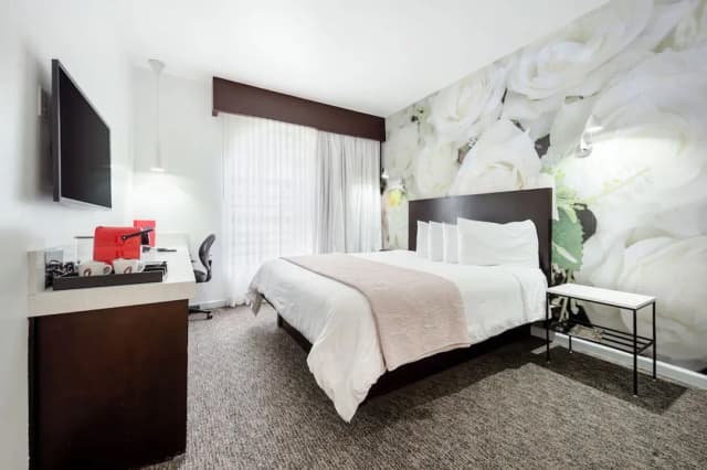 The O Hotel, Trademark Collection by Wyndham-华丽客房, 1 张大床, 无烟房-11