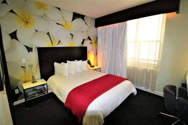 The O Hotel, Trademark Collection by Wyndham-华丽客房, 1 张大床, 无烟房-2