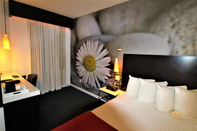 The O Hotel, Trademark Collection by Wyndham-华丽客房, 1 张大床, 无烟房-3