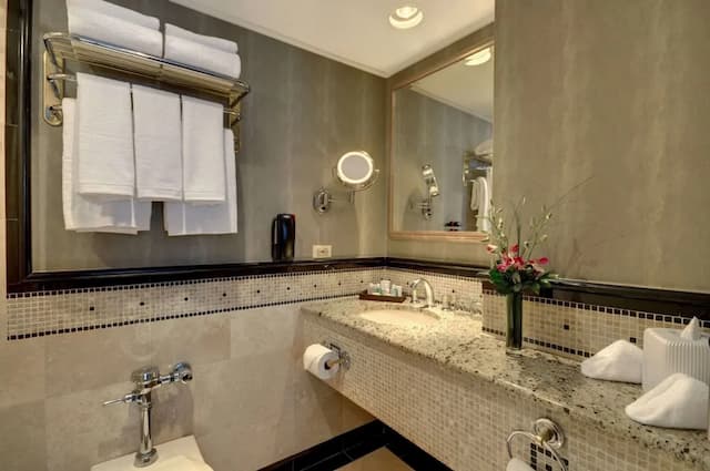 The Whitehall Hotel, BW Premier Collection-套房, 1 张特大床, 无烟房 (Four Poster Bed;with Sofabed)-4