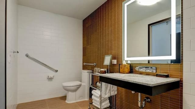 ホテル X トロント, ア ディスティネーション バイ ハイアット ホテル-デラックス ルーム クイーンベッド 2 台 車椅子で利用可能なシャワー-3