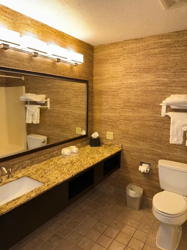 安克拉治智選假日飯店 IHG 旗下飯店-客房, 2 張加大雙人床, 非吸煙房-10