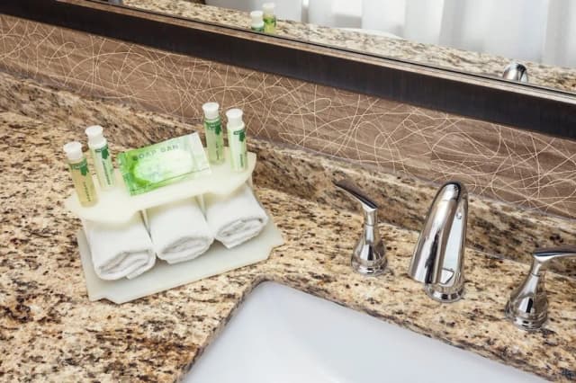 安克拉治智選假日飯店 IHG 旗下飯店-客房, 1 張特大雙人床, 身障無障礙空間, 非吸煙房 (Bathtub w/ Grab Bars)-3