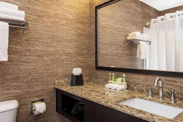 安克拉治智選假日飯店 IHG 旗下飯店-客房, 1 張特大雙人床, 身障無障礙空間, 非吸煙房 (Bathtub w/ Grab Bars)-6