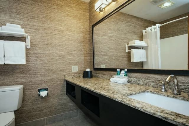 安克拉治智選假日飯店 IHG 旗下飯店-客房, 1 張特大雙人床, 非吸煙房-4