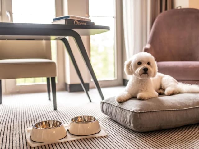 法蘭克福歌劇院索菲特飯店-總統套房, 1 張特大雙人床, 露台, 城市景觀-5