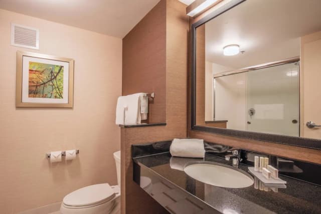 芝加哥市中心費爾菲爾德套房酒店/北河-開放式客房, 1 張特大雙人床及 1 張梳化床, 城市景-7