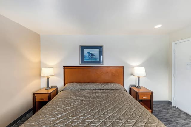 Breeze Inn-Classic Double Room Single Use, 1 King Bed, Non Smoking, Corner-6