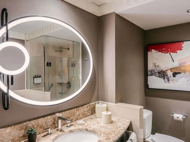 Sofitel New York-套房, 阳台, 城市景观-7