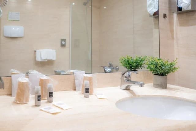 卡潘尼爾酒店-高級客房-5