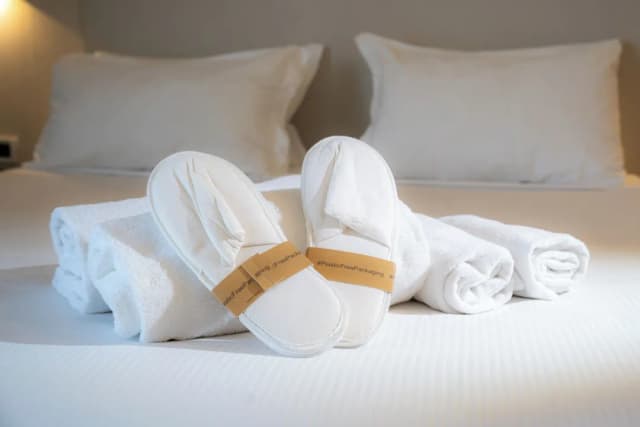 卡潘尼爾酒店-高級客房-9