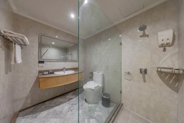 莫雷花園酒店-商務雙人或雙床房-9