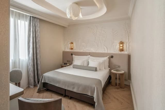 馬德里中心文奇酒店-高級單人房-1