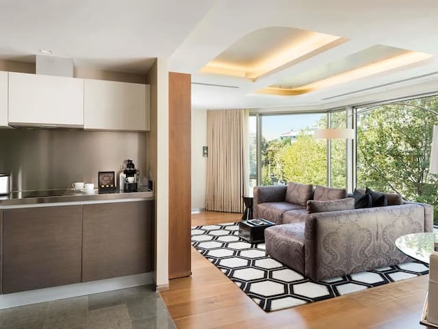 伊斯坦堡瑞士飯店-開放式客房, 1 間臥室 (Residence Park)-8