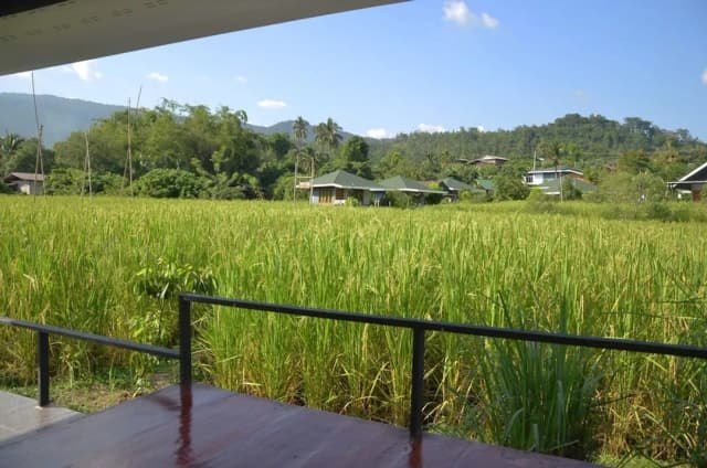 Nok Chan Mee Na-Deluxe Double Room-8
