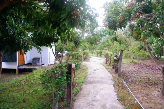 Nok Chan Mee Na-Basic Twin Room, Hill View-10