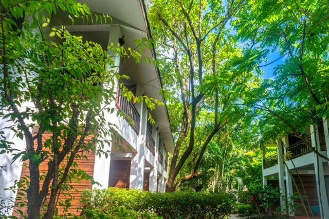 The Hive Hotel Samui-标准双人房或双床房-14