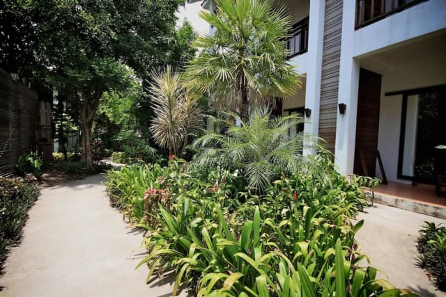 The Hive Hotel Samui-标准双人房或双床房-10