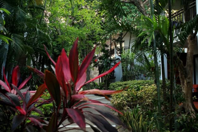 The Hive Hotel Samui-标准双人房或双床房-15