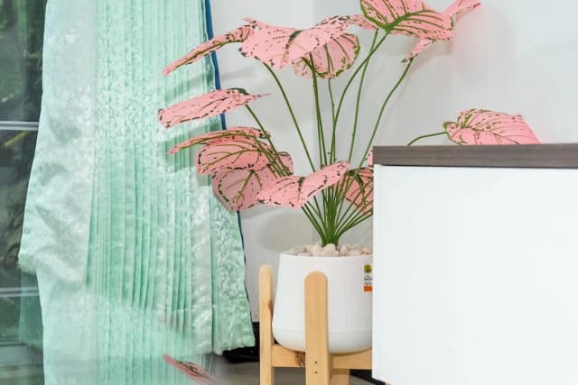 반 와루 시뷰-스튜디오-26