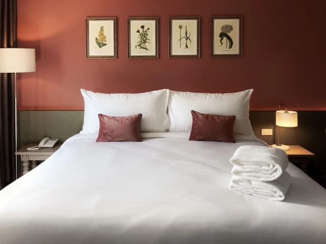 The Raintree Hotel Chiangmai-極品客房-4