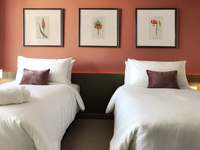 The Raintree Hotel Chiangmai-高級雙床房-1