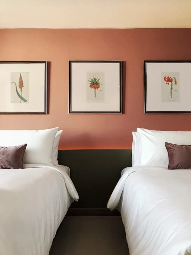 The Raintree Hotel Chiangmai-高級雙床房-2