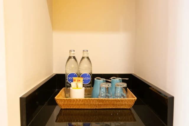 The Silver Palm Wellness Resort-Silver Palm Deluxe Twin-5