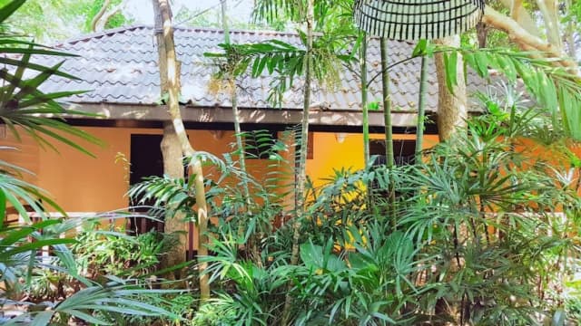 Birds and Bees Resort-Standard-20