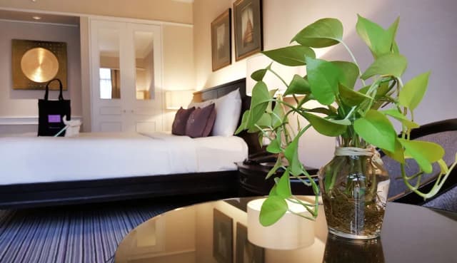 蘇閣索 (SHA Extra Plus 認證)-Premier Sustainability Room-3