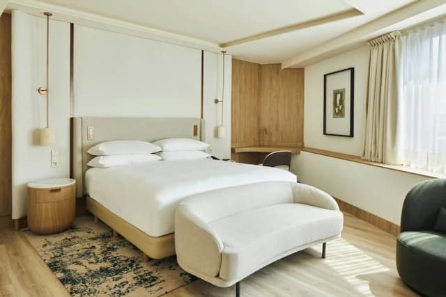 馬德里公主廣場酒店-開放式套房, 1 間臥室, 城市景-19