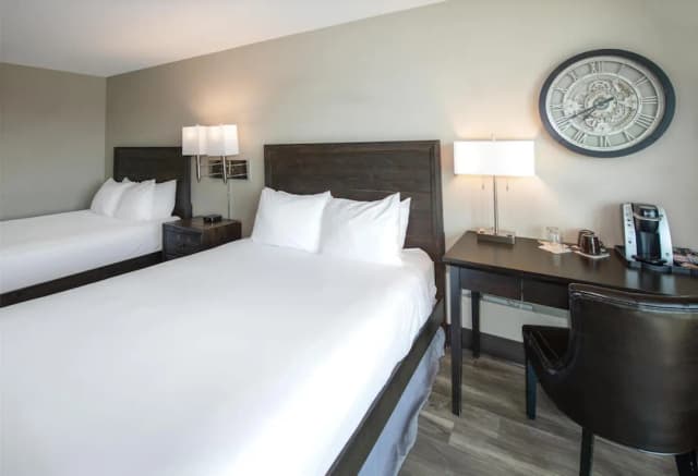 코스트 론스데일 키 호텔-룸, 퀸사이즈침대 2개-4