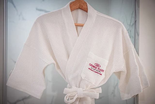 크라운 플라자 방콕 룸피니 파크 바이 IHG-프리미엄룸, 킹사이즈침대 1개, 장애인 지원, 클럽 라운지 이용-6