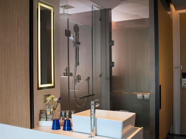 曼谷素坤逸 4 巷諾富特飯店-豪華客房, 1 張特大雙人床 (Grand)-4