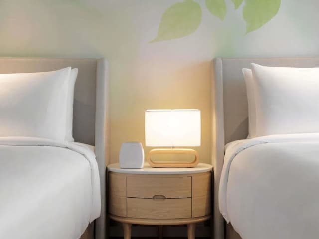 曼谷瑞享 BDMS 健康度假村-豪華客房, 2 張單人床-10