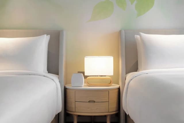 曼谷瑞享 BDMS 健康度假村-豪華客房, 2 張單人床-3