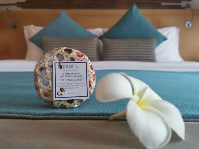 Prana Resort Nandana-Cool Pool Access Main Wing-20