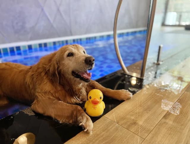라 미네라 풀 빌라 파타야-Pet-Friendly Pool Villa Family-3