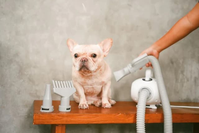 라 미네라 풀 빌라 파타야-Pet-Friendly Pool Villa-11