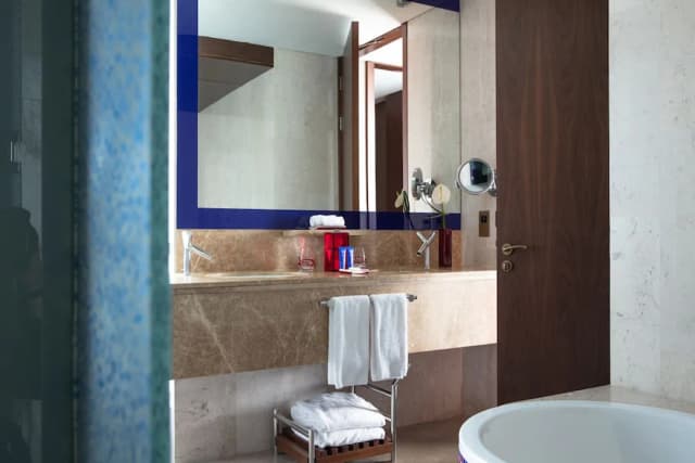 더 크릭사이드 호텔 두바이, 아코르 호텔-슈피리어룸, 킹사이즈침대 1개, 정원 전망-5