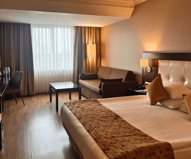 エレシン ホテルズ トプカピ-Deluxe Double Room With City View-4