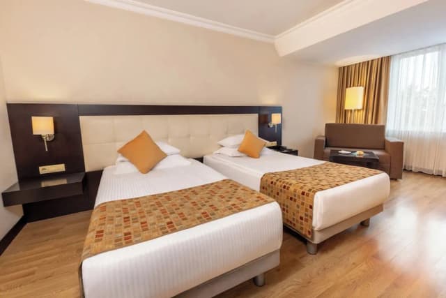 エレシン ホテルズ トプカピ-Deluxe Twin Room With City View-2