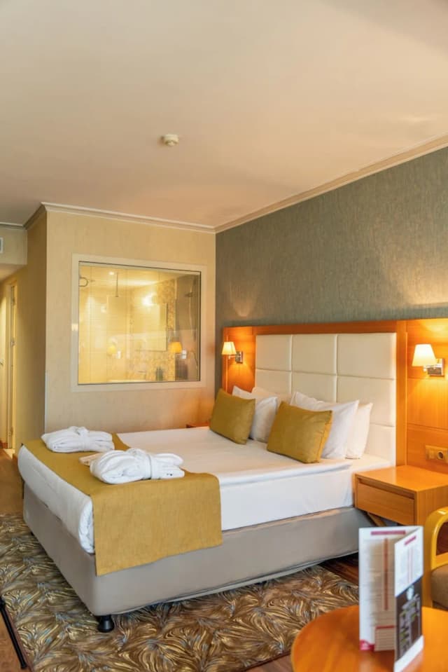 アクグン イスタンブール ホテル ワールドホテルズ エリート-デラックス ルーム ダブルベッド 1 台 禁煙 (with Sofabed)-4