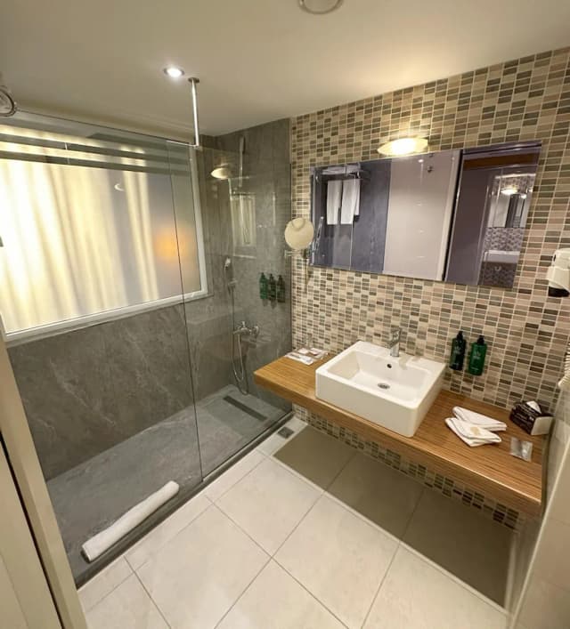 アクグン イスタンブール ホテル ワールドホテルズ エリート-デラックス ルーム ベッド (複数台) 禁煙 コネクティングルーム (with Sofabed)-2